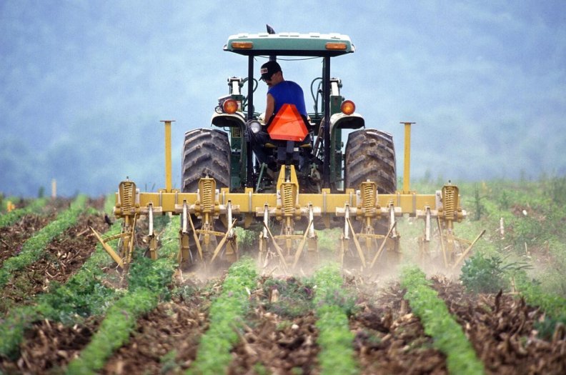 Portugal é o 4º país da UE com maior crescimento do valor da produção agrícola