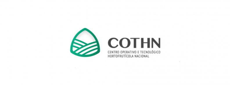 COTHN quer criar portal para divulgar soluções de monitorização e controlo inteligente de pragas